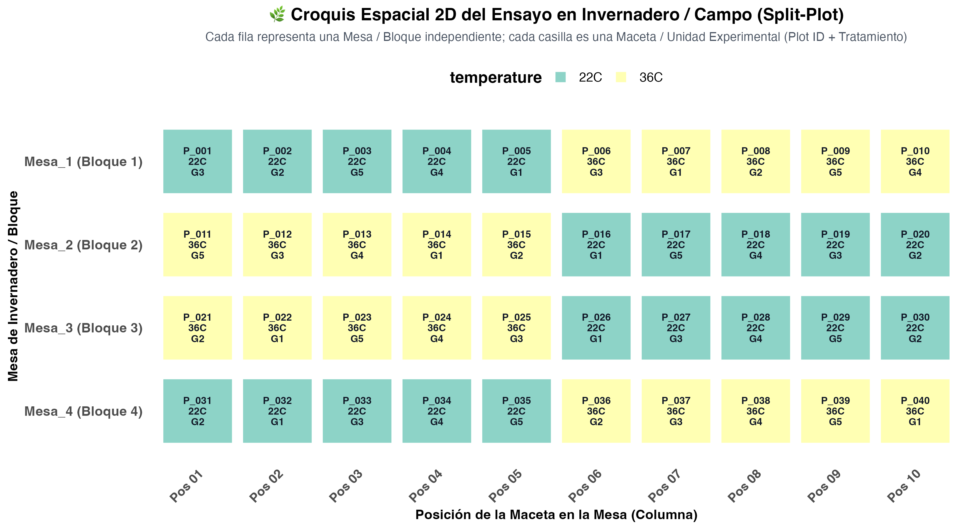 Croquis 2D Invernadero Split-Plot
